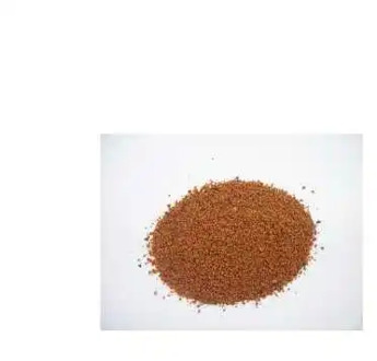 Seasoning Nutmeg powder