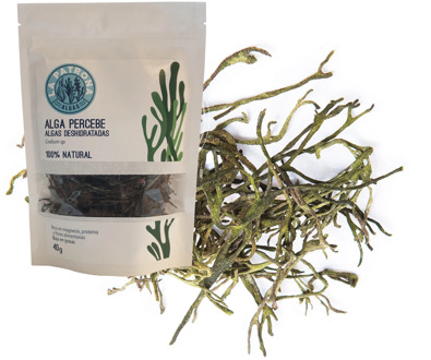 Seaweed Percebe dehydrated 40G ECO-pick up handmade-Galicia Calidade-the patron saint