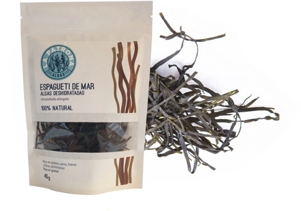 Seaweed sea spaghetti dehydrated 40G ECO-pick up handmade-Galicia Calidade-the patron saint