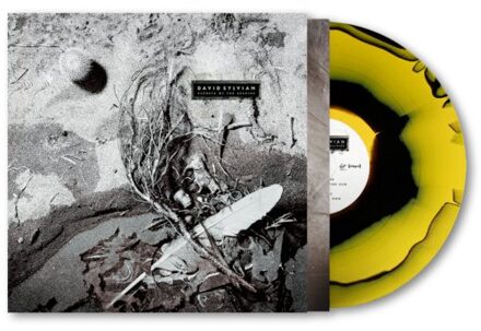 Secrets Of The Beehive - David Sylvian