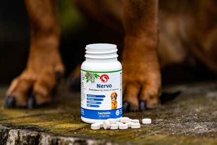 Sectolin Nervo - Kalmeringsmiddel Hond - 100 stuks