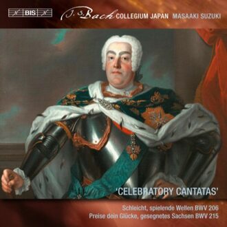 Secular Cantatas Vol. 8
