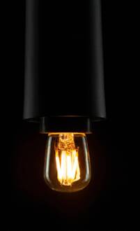 Segula LED-koelkastlampje Energielabel: A+ (A++ - E) 60 mm 230 V 1.5 W N/A Filament / Retro-LED, Dimbaar 1 stuk(s)