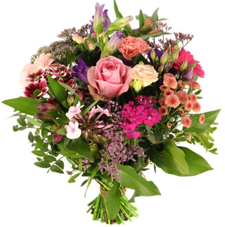 Seizoens bloemen roze en paars