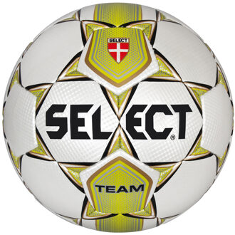 Select Voetbal Team Geel/Blauw
