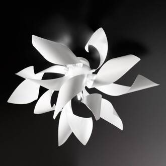 Selene Plafondlamp Ginger, 50 cm wit