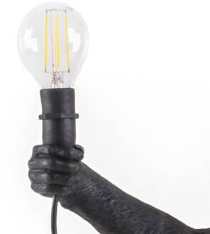 Seletti E14 2W LED lamp 36V voor Monkey Lamp Outdoor