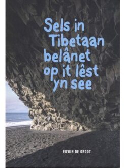 Sels in Tibetaan belânet op it lêst yn de see - Boek Edwin de Groot (9492176467)