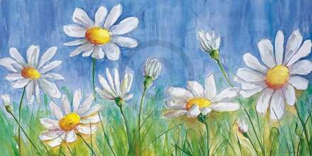 Semenzato - Margherite Kunstdruk 140x70cm