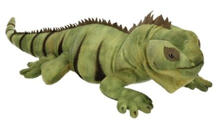 Semo Pluche leguanen knuffels 64 cm