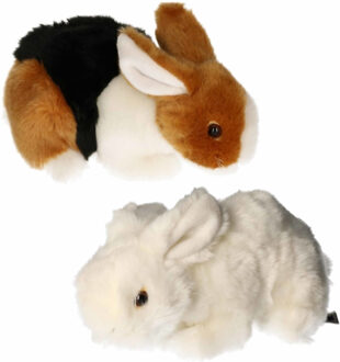 Semo Setje van 2x stuks pluche knuffel konijnen van 20 cm