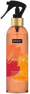 Sence Of Wellness Huisspray Energise oranje