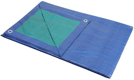 Sencys Afdekzeil Polyethyleen Groen/blauw 75gr/m² 2x3m