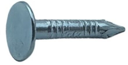 Sencys Asfaltnagels Met Platte Kop Gegalvaniseerd 3,0x20mm - 40 Stuks