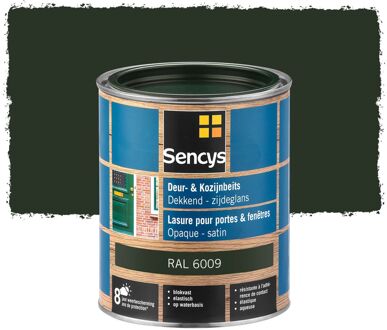 Sencys Beits Ramen En Deuren Dekkend Zijdeglans Ral6009 0,75l