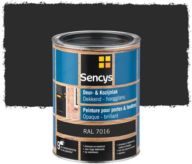 Sencys Deur- En Kozijnlak Hooglans Ral7016 2,5l