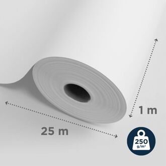 Sencys Glasvliesbehang Voorgeschilderd - 25 M - 250 G/m²