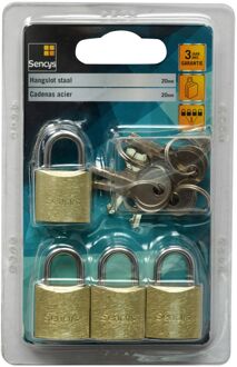 Sencys Hangslotenset Met Sleutel - Staal Voor Koffer - Behuizing 20mm - Set Van 4 Stuks