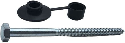 Sencys Houtdraadbout Gegalvaniseerd Met Afdekkap Zwart M7x110mm Per 10