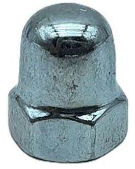 Sencys Kapmoer - M5 - Verzinkt - 40 Stuks