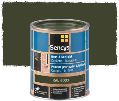 Sencys Lak Voor Deurenen Ramen Hoogglans Ral6003 750ml
