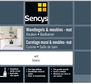 Sencys Lak Voor Wandtegels & Meubels, Keuken & Badkamer Ral7035 Glans 750ml