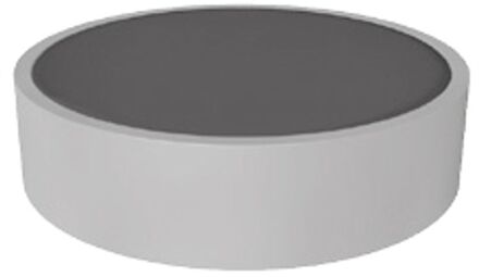 Sencys Memomagneet 20mm 5 Stuks