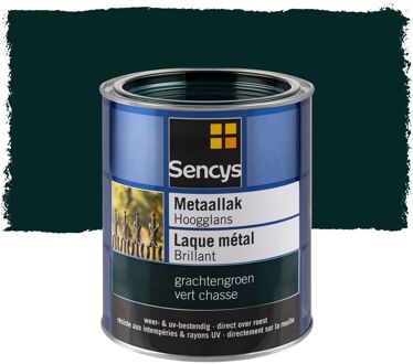 Sencys Metaallak Hoogglans Grachtengroen 750ml