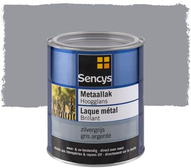 Sencys Metaallak Hoogglans Zilvergrijs 750ml