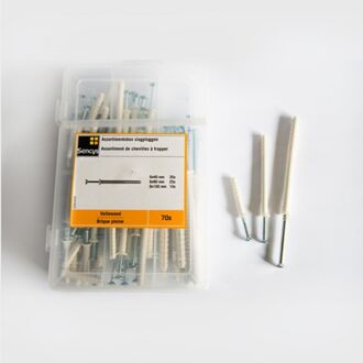 Sencys Slagplug Assortimentsdoos Kunststof - Diam. 6x40mm, 6x80mm, 8x100mm - 70 Stuks
