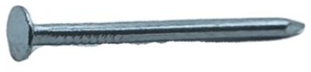 Sencys Spijkers Met Platte Kop Gegalvaniseerd 2x30mm - 80 Stuks