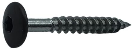 Sencys Universele Schroef Rvs Verzonken Kop Torx - 4,8x38mm - 10 Stuks