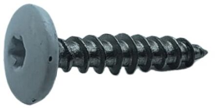 Sencys Universele Schroef Rvs Vlakke Kop Torx T20 - 4,8x25mm - 10 Stuks