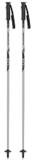Senior Skistok Ski Stokken 125 Licht grijs