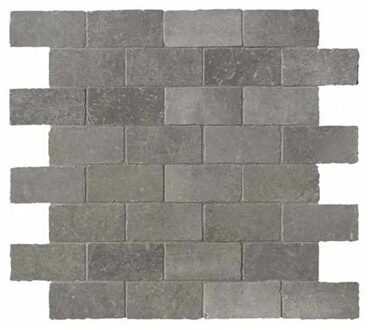 Sense Tegelstroken voor wand 30x30cm 9.5mm gerectificeerd porcellanato Gris 1516055 Gris Mat (Grijs)