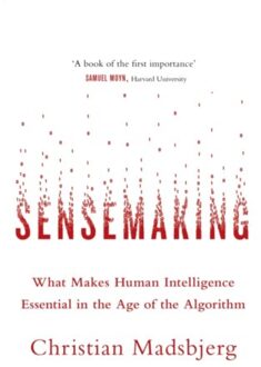 Sensemaking