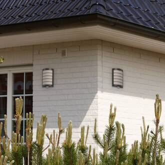 Sensor-buitenlamp Aqua Marco rooster, antraciet antraciet, gesatineerd wit