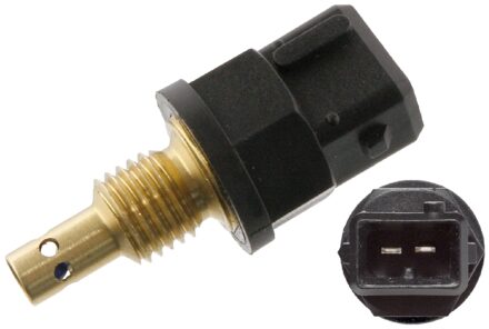 Sensor, temperatuur Binnenkomende lucht