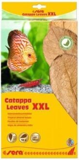Sera Catappa Leaves 10 stuks XXL