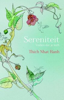 Sereniteit - eBook Thich Nhat Hanh (9045318318)