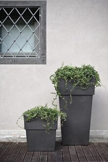 Serralunga 1825 Bloembak Maranello Onverlicht