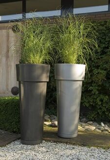 Serralunga 1825 Bloempilaar Pisa Gelakt