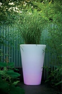 Serralunga 1825 Bloemvaas Liscio Siena LED