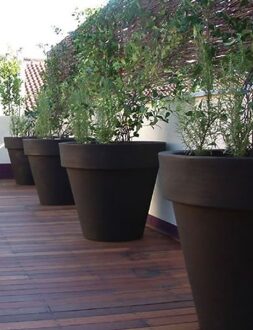 Serralunga 1825 Serralunga Bordato Liscio 36 Onverlicht