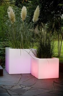 Serralunga 1825 Serralunga Cubotti Accu LED