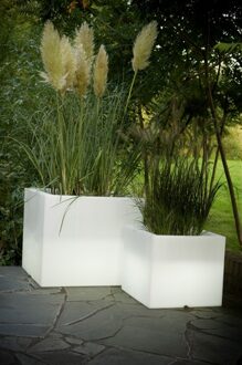 Serralunga 1825 Serralunga Cubotti Wit Verlicht