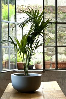 Serralunga 1825 Serralunga Cup