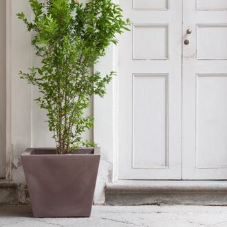 Serralunga 1825 Serralunga Kabin Onverlicht