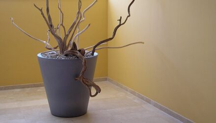 Serralunga 1825 Serralunga Newpot Onverlicht