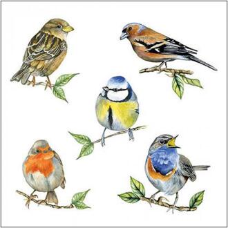 Servet 33 Bird species white Wit